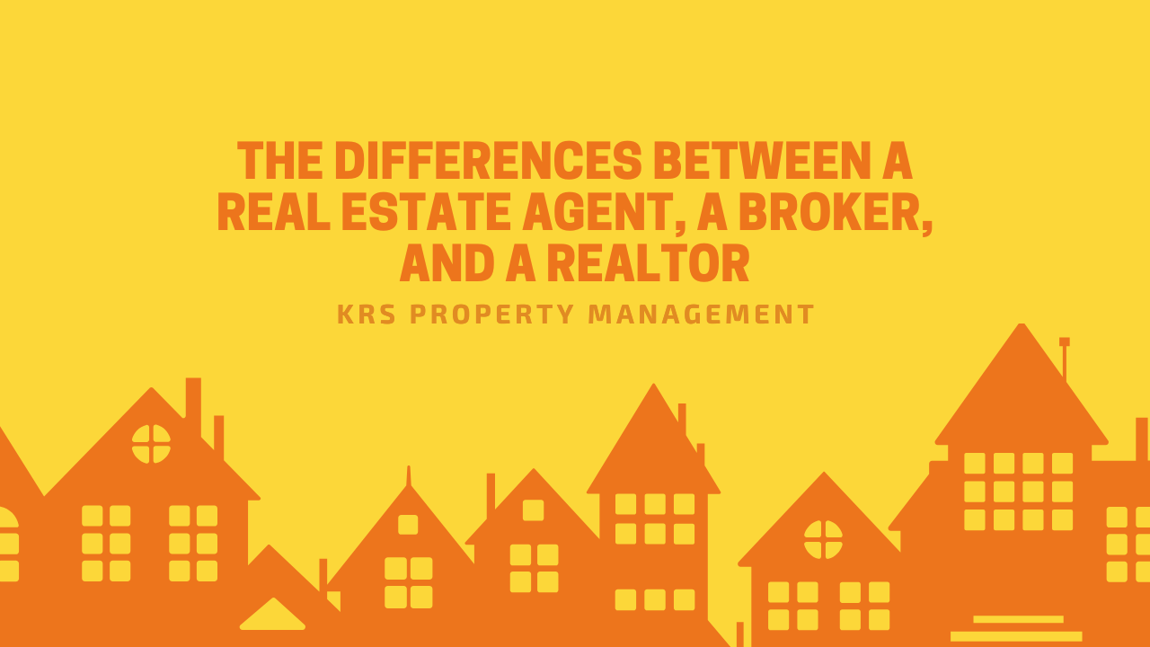 Property Management Blog